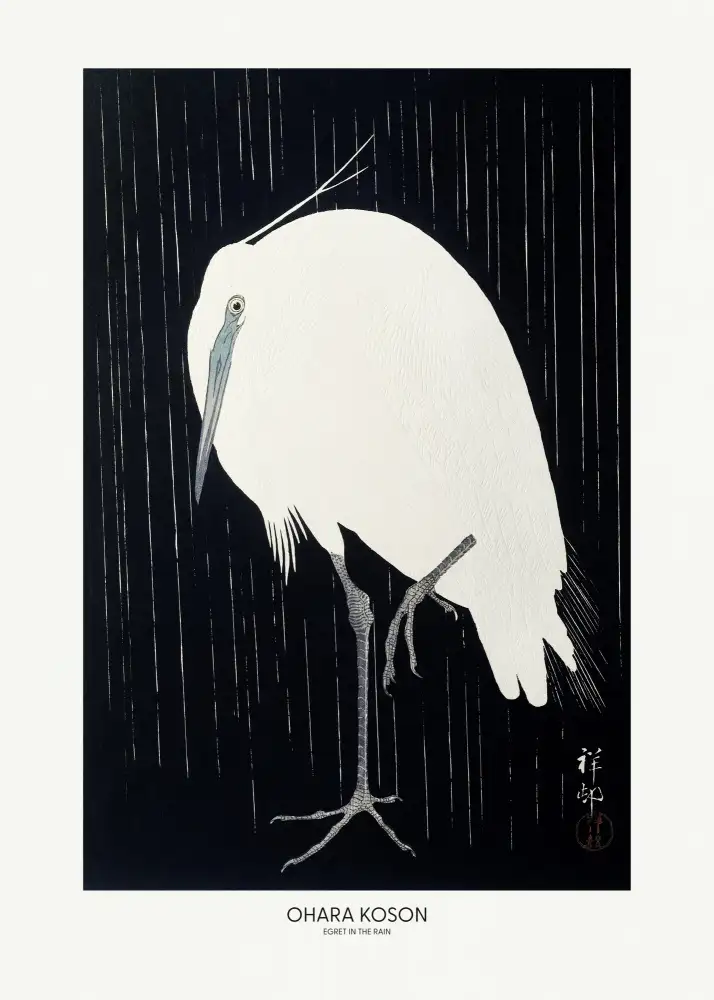 Koson, Ohara: Volavka V Dešti