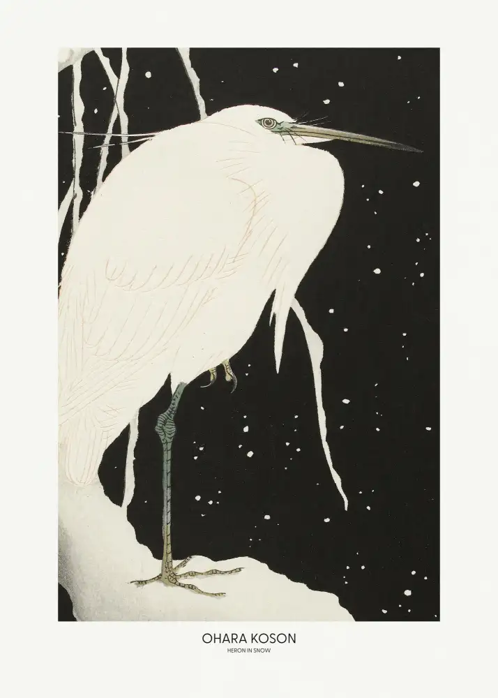 Koson, Ohara: Volavka Ve Sněhu