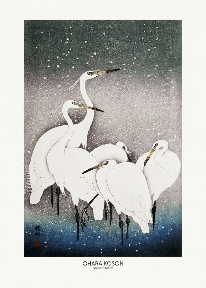 Koson, Ohara: Skupina volavek