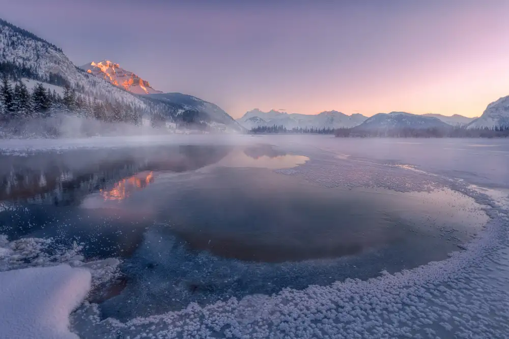 Zhang, Dennis: Cold morning