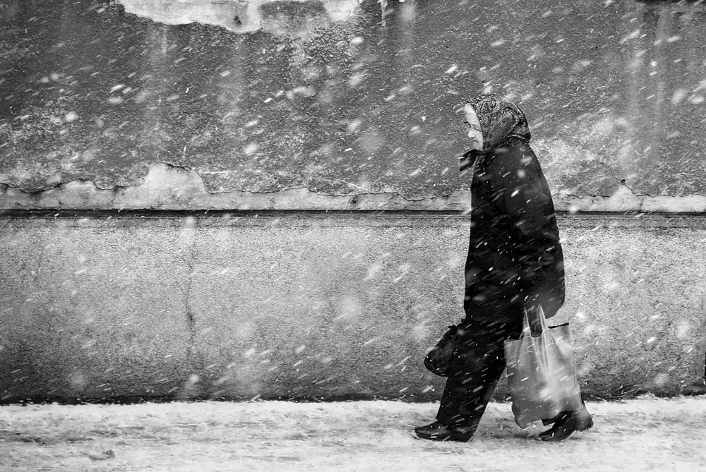 Gabor, Nicoleta: Winterpassagiere