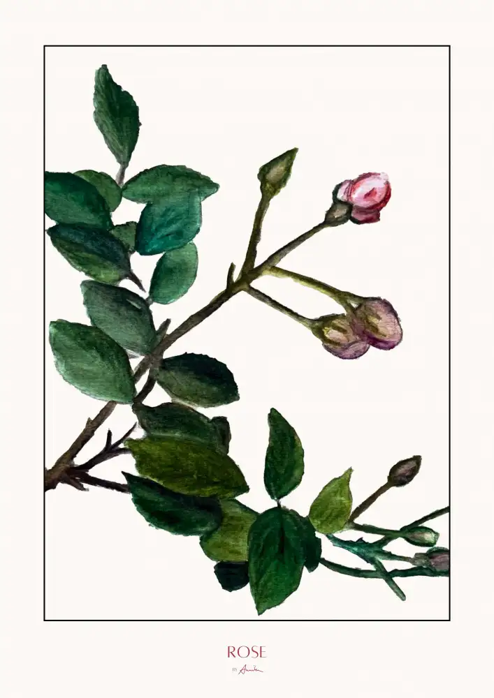 John, Annika: Rose