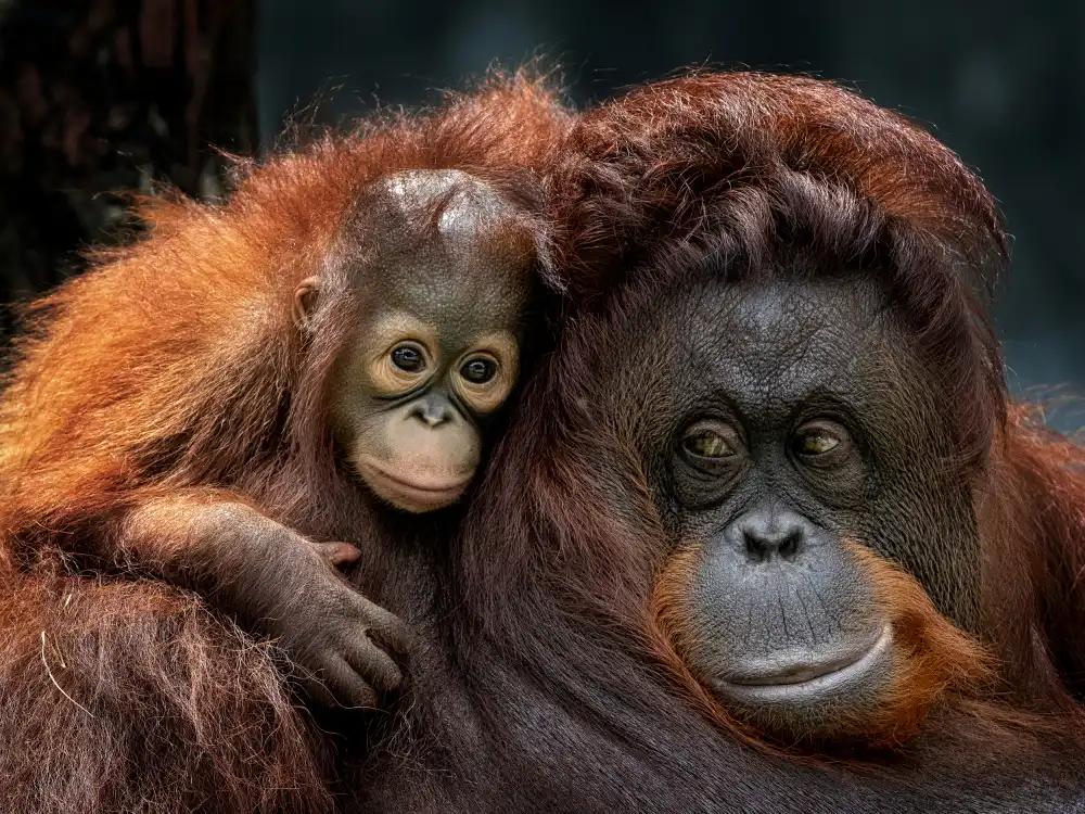 Dennaga, Prabu: With mom