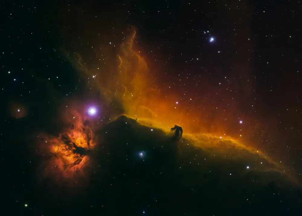 Fong, Ken: Le Nebulose Testa di Cavallo e Fiamma