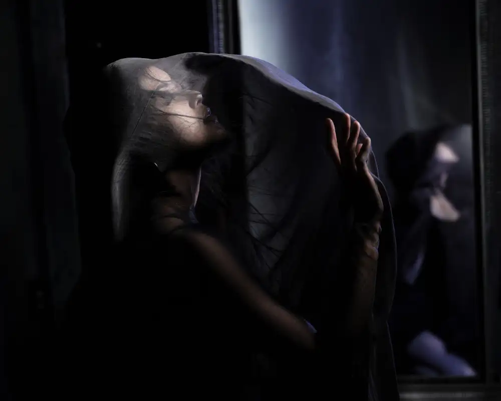 Kato, Masayuki: Veil