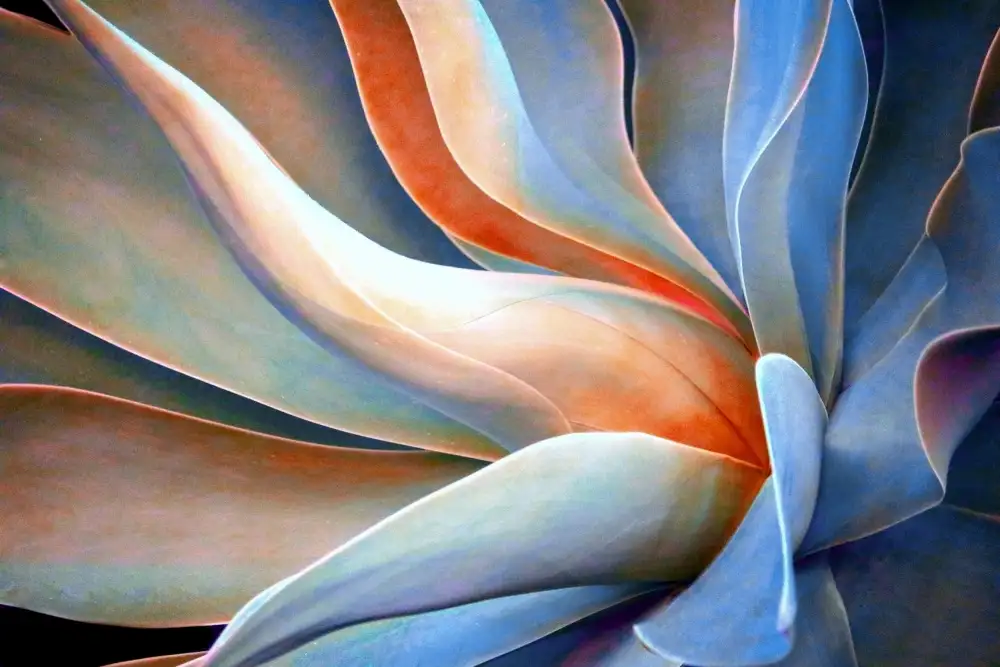 Wechsler, Robin: El lado pastel del invierno 2023