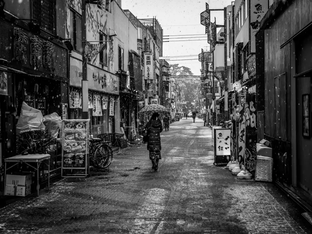 sirou.minami: Nevica nel centro di Tokyo