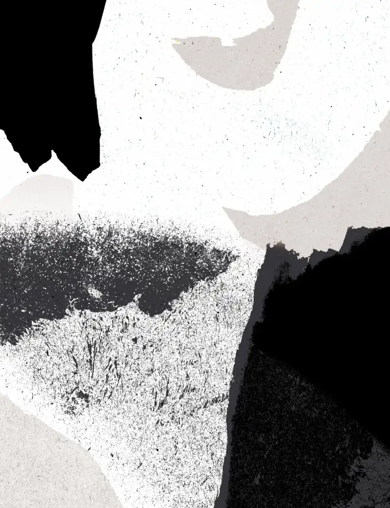 Demir, Aylin: Noir et blanc