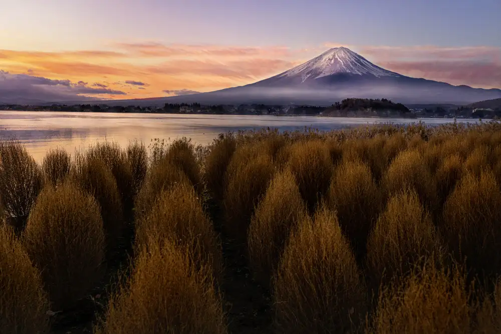 Tang, D. Lisa: Mount Fuji am Morgen