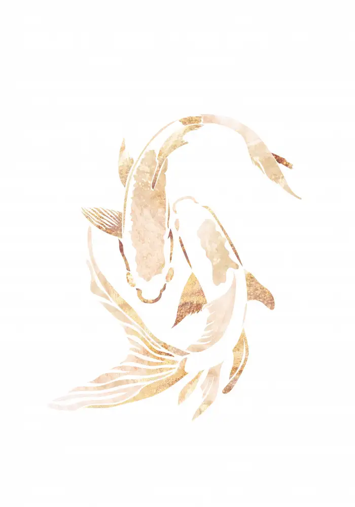Manovski, Sarah: Gold White Japan Koi Fish