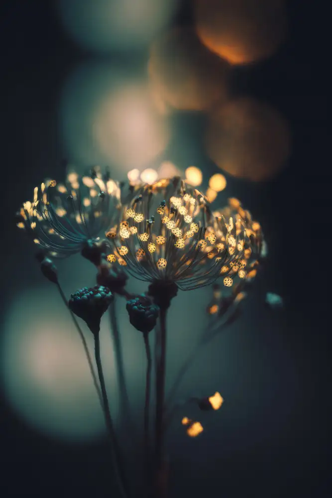 Treechild: Points lumineux