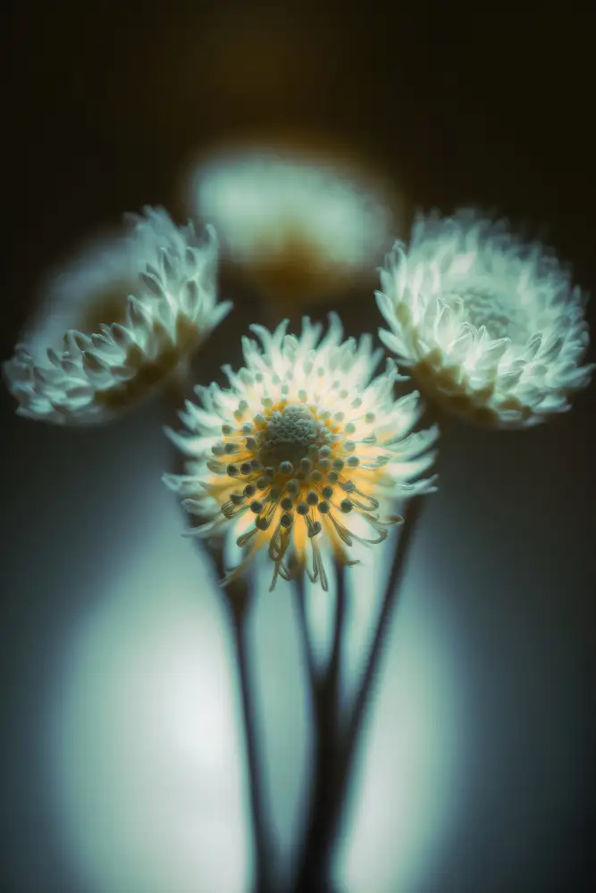 Treechild: Gedimmtes Licht