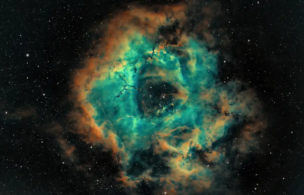 TaranSohal: La Rosette