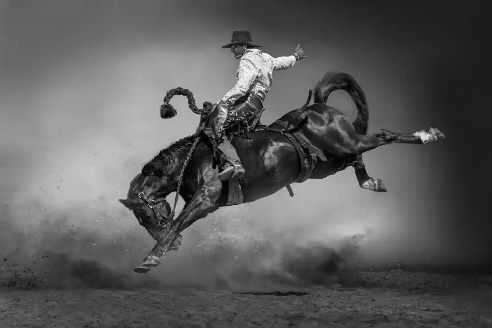 Wu, Irene: Der Cowboy-Stil