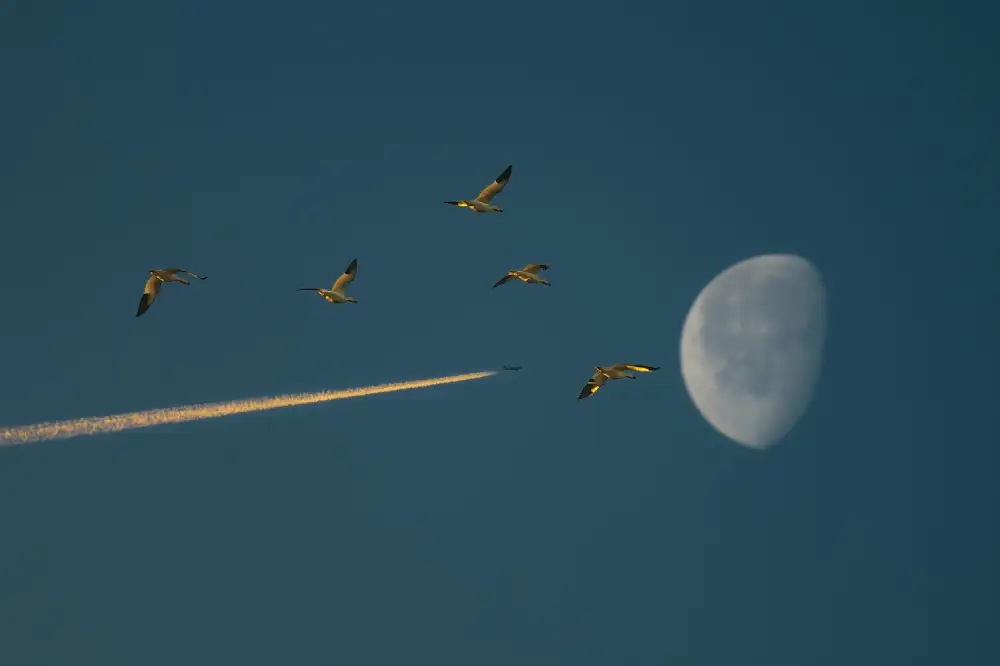 Liang, Ken: Volare sulla Luna