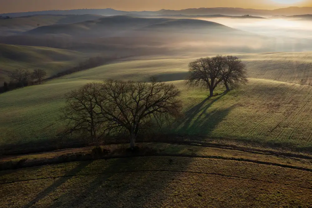 Kravanja, Jure: Toskánské ráno