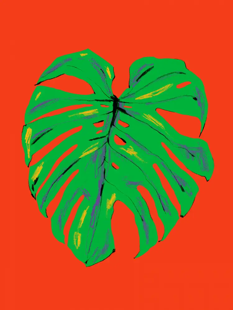 Gulina, Francesco: Feuille de Monstera Rouge