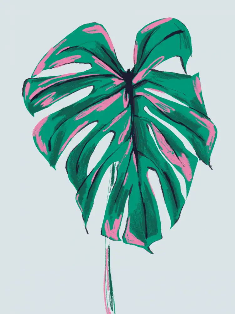 Gulina, Francesco: Monstera Deliciosa Light