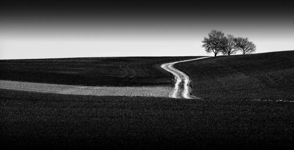 Scheunders, Jan: Haspengouw 1