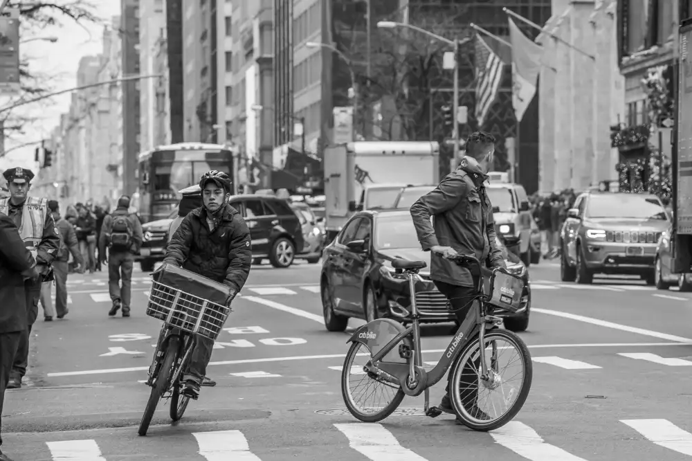 Rampinelli, Roberto: New york jungle