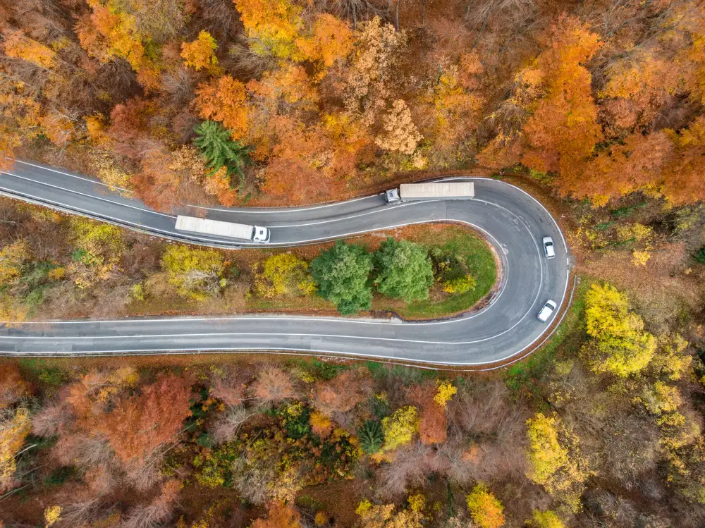 Šimic, Joško: Autumn bend