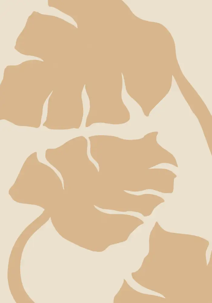 Studio, Pictufy: Monstera Soft orange