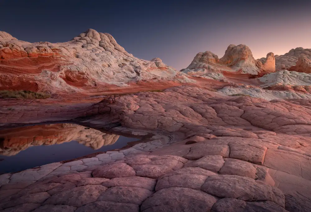 Nienartowicz, Karol: Arizona