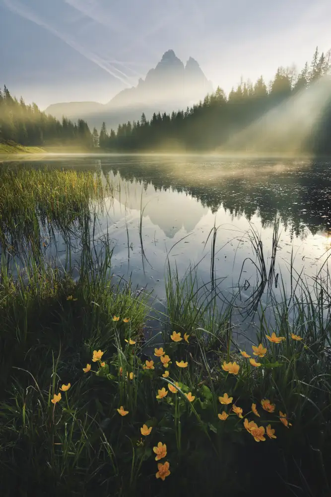 Hefele, Stefan: Paradiso montano