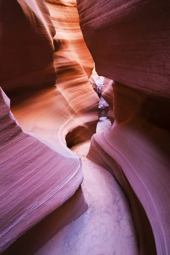 Hefele, Stefan: Canyon Viola