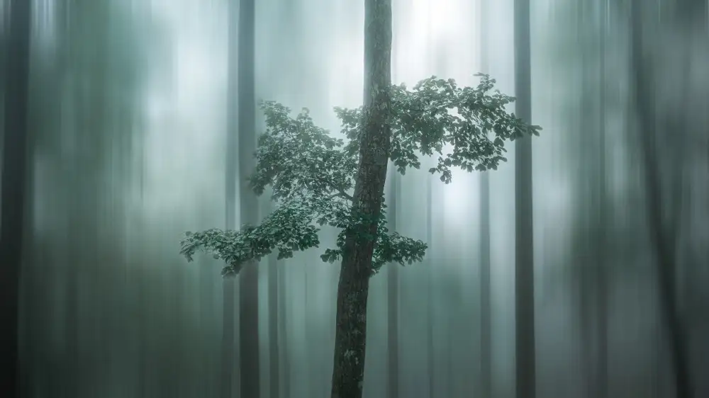 Sugita, Masaki: Buon senso