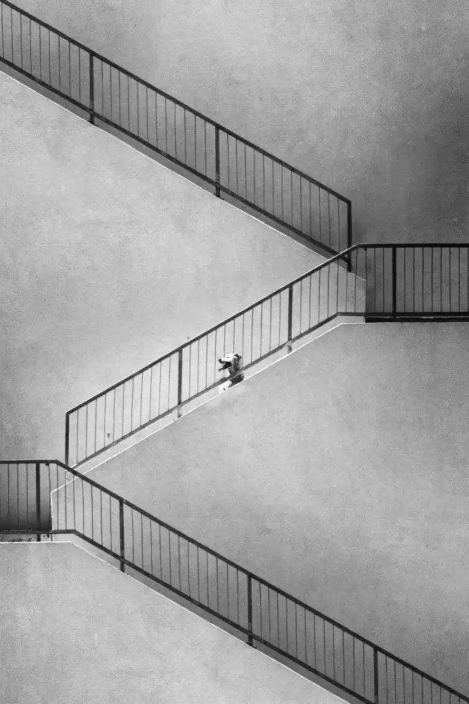 Cinteza, Marius: Perspective ascendante