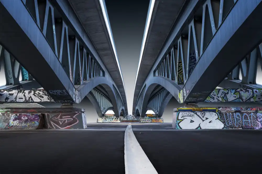 fotomarion: the bridge