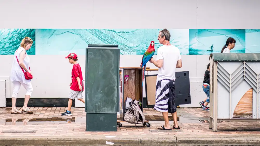 Kimberly: Honolulu Parrot Man