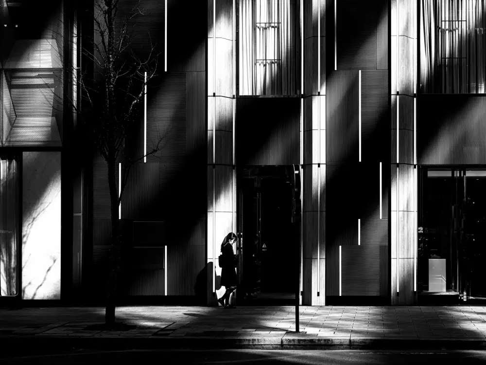 Fujii, Yuzo: Tinted Shadows at Ginza