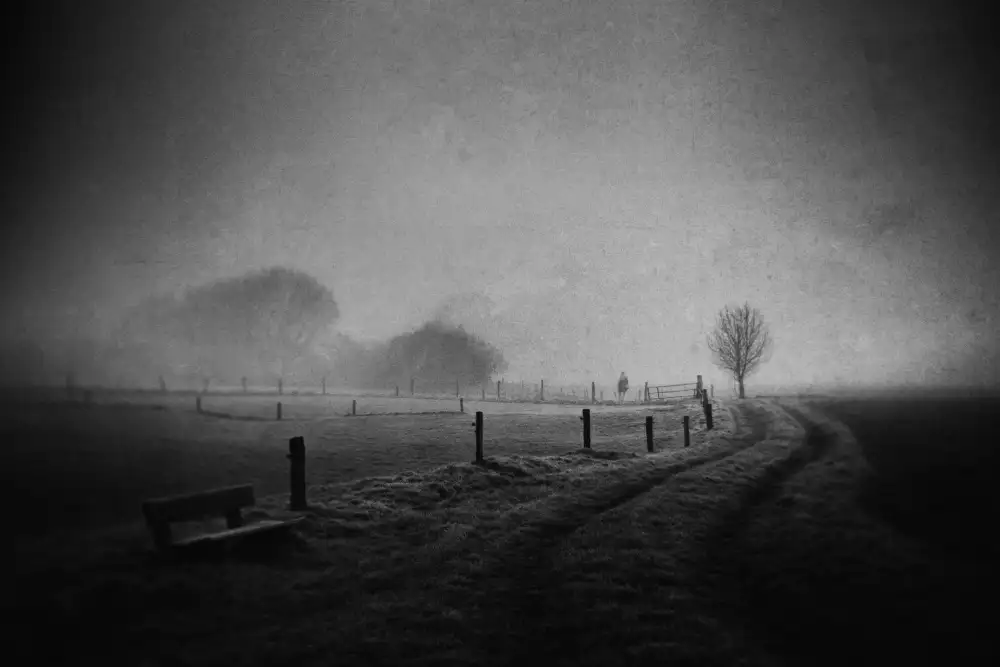 Dauria, Adam: Borrowing Time