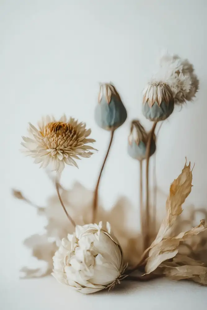 Treechild: Dry Flower Impression