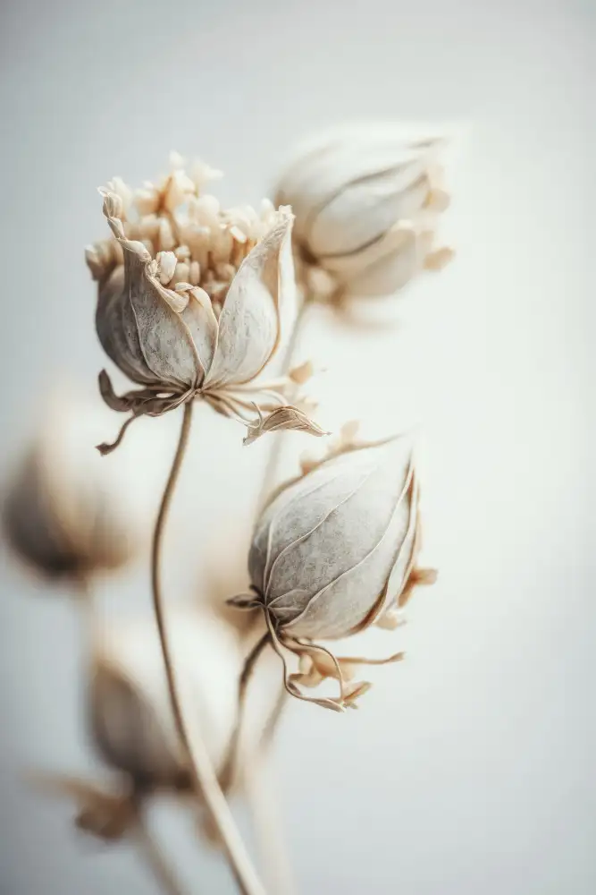 Treechild: Fleurs en feutre beige