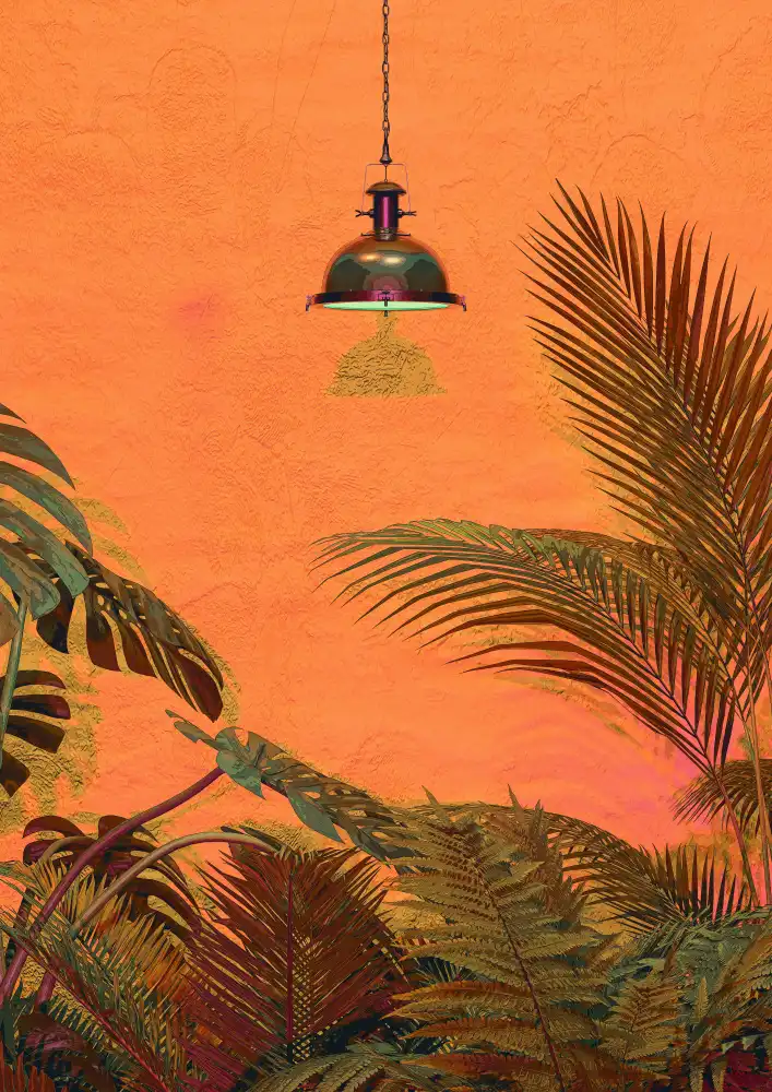 MURRAY, DEKIMBE: TROPICAL WALL
