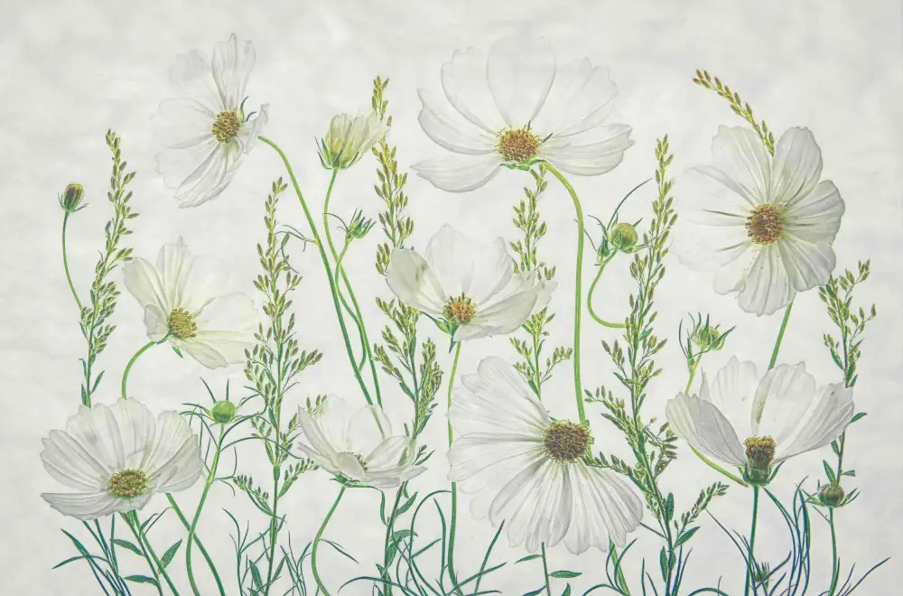 Zhou, Fangping: Cosmos Garden