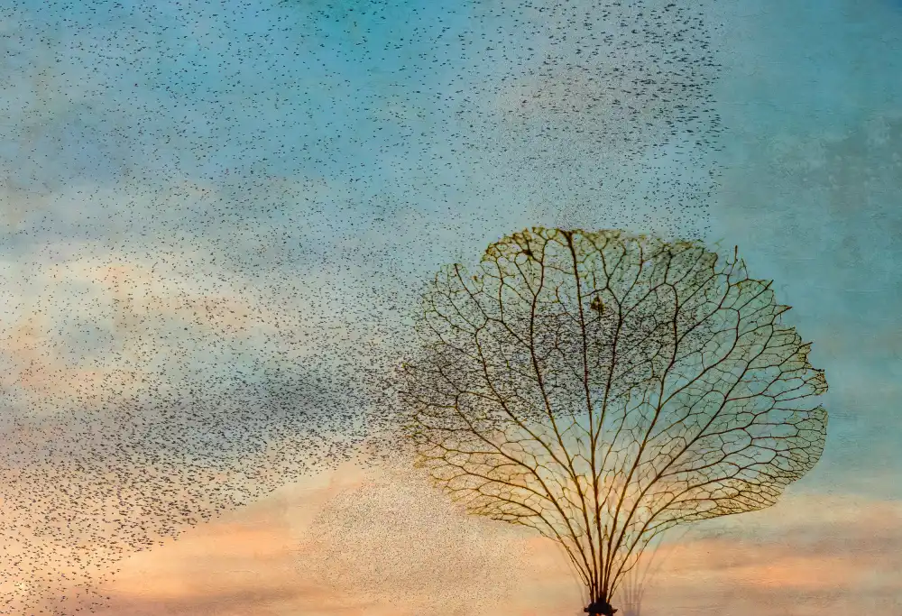 Lee, van Hilda: les oiseaux et l'arbre