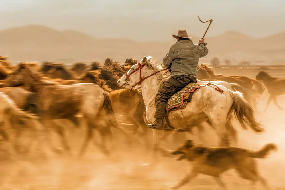Öztürk, Mustafa: Wild horses (aka Yılkı Atları)