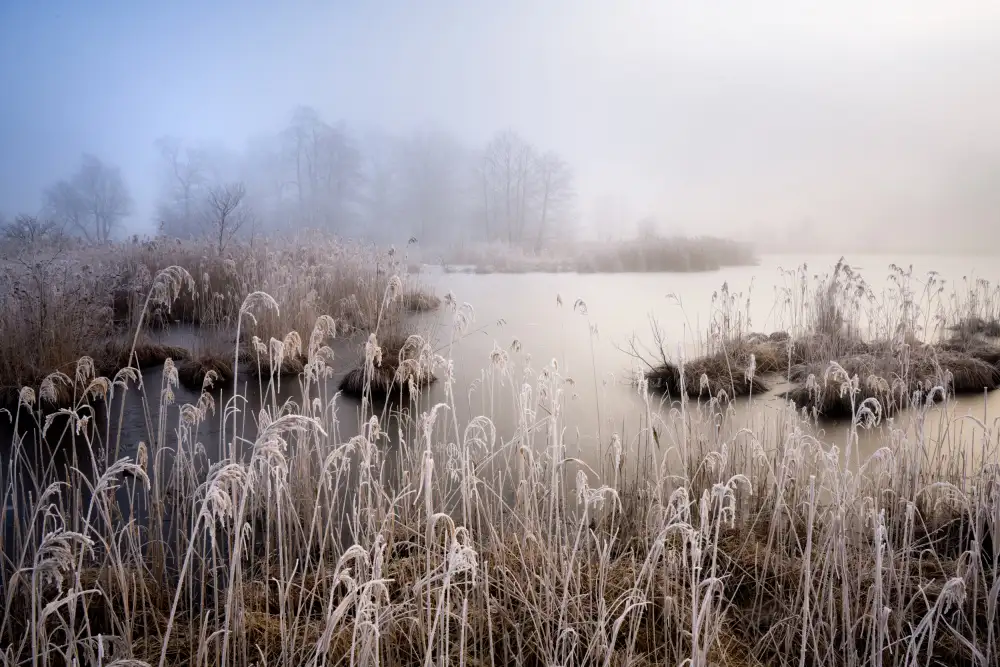 Eisenmann, Ulrike: Winter in Bayern