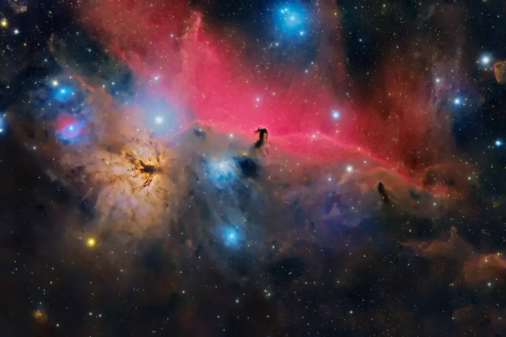 D., Maria Jose: Nebulosa Testa di Cavallo