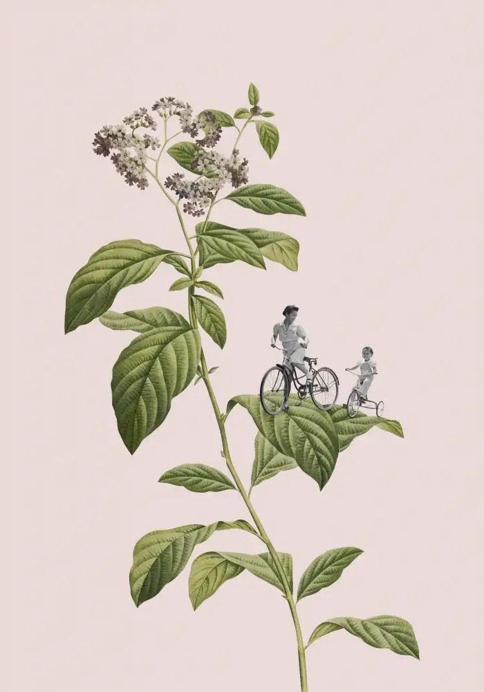 Studio, Floral Frida: Botanisches Radfahren