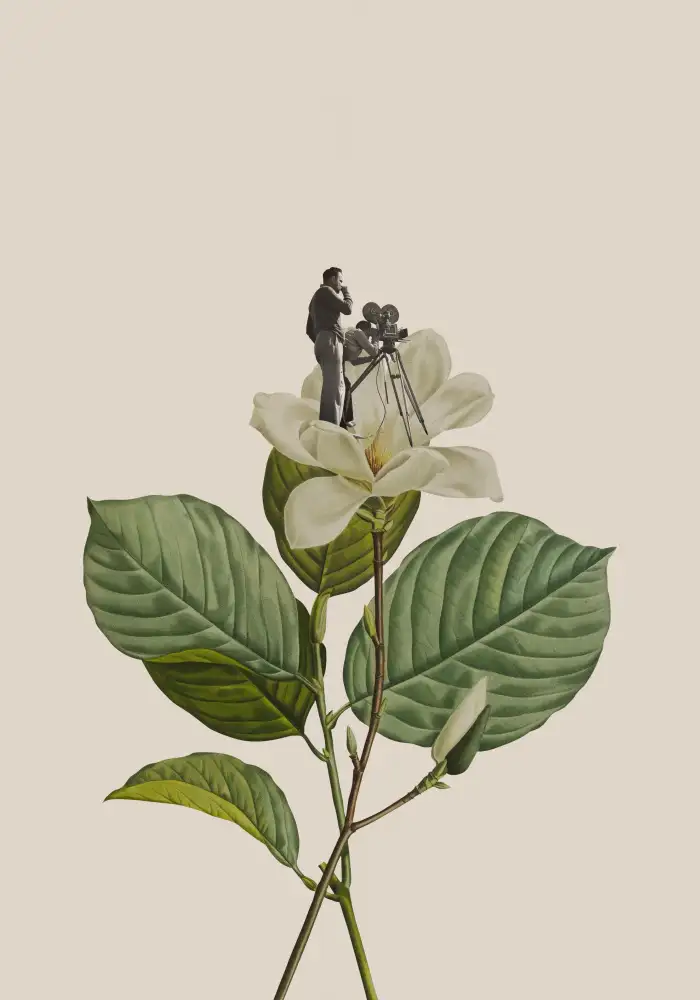 Studio, Floral Frida: Caméraman botanique vintage