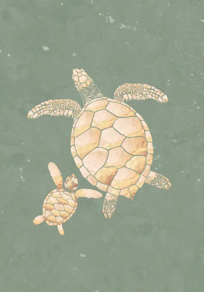 Manovski, Sarah: Gold Sage Green Turtles