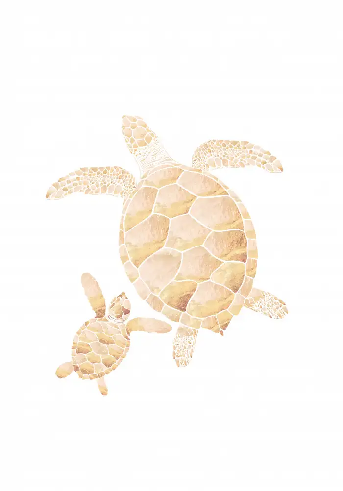 Manovski, Sarah: Goldweiße Schildkröten