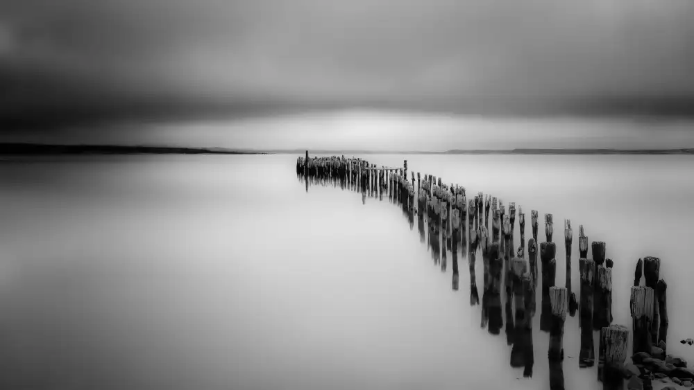 Xie, April: Old Wooden Bridge Piles