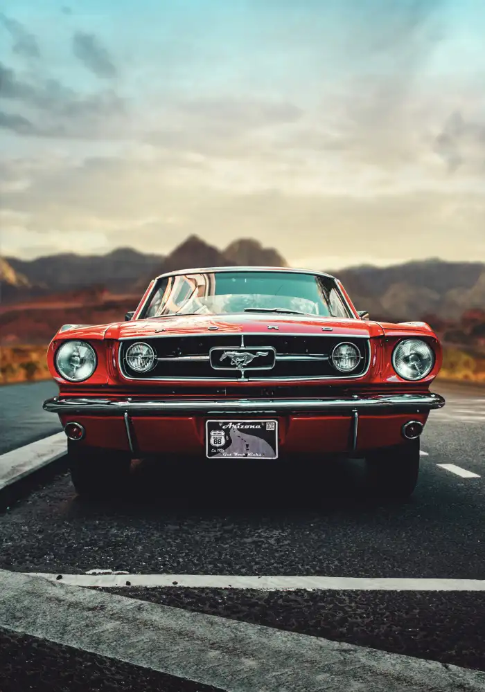 Roze, Fadil: Mustang Amore
