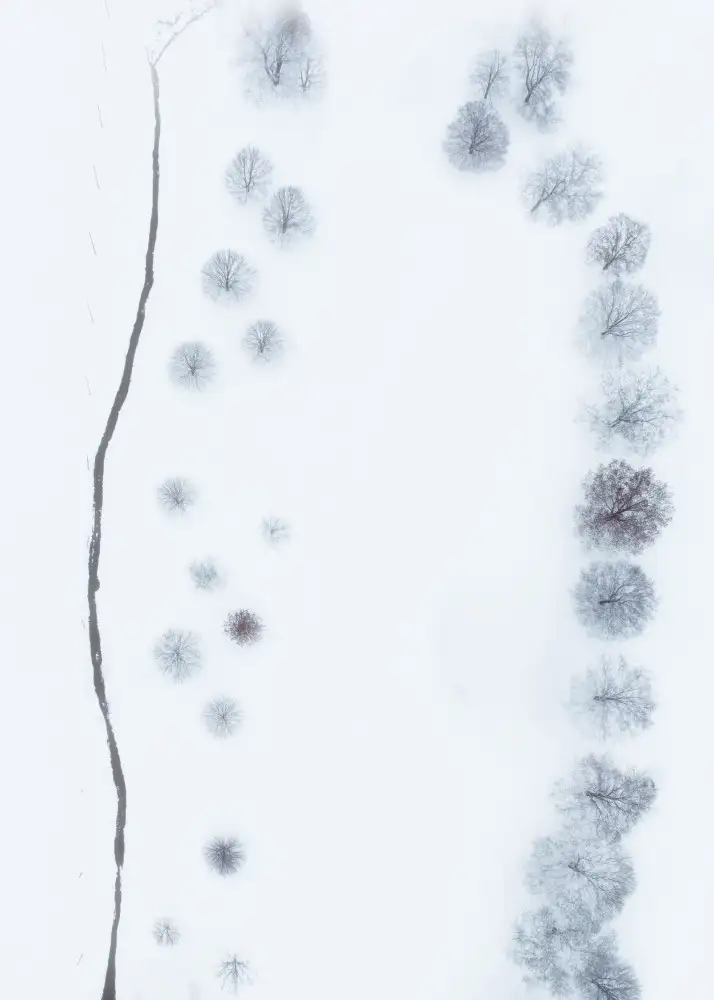 Lu, Ling: Parallel patterns of Winter